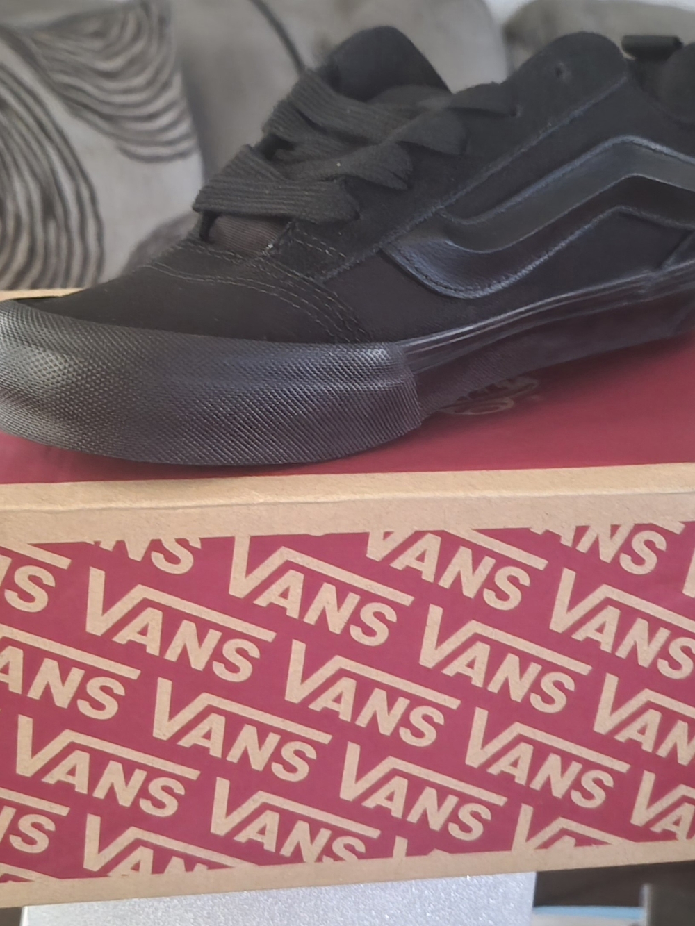Vans Men’s All-Black Low-Top Skate Sneakers